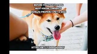 Dogs Show These Signs Right Before They Bite&mdash;Do You Know Them?