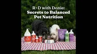R+D with Donie: Secrets to Balanced Pet Nutrition for Dogs and Cats Podcast