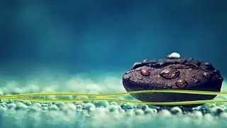Festival Music EDM  Remixes Of Popular Songs  EDM Music Playlist #752