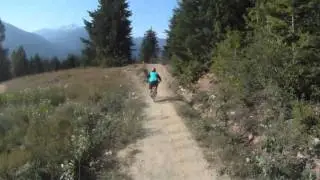 Crab apple hits.MP4