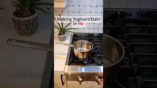 How to make Dahi /yogurt in Canada at home .     #ytshorts #canada canada#homemade