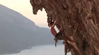 Aegialis 7c