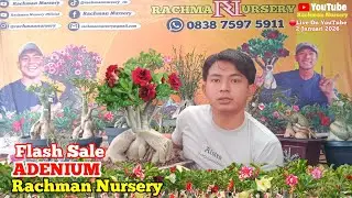 🔴 Live Flash Sale Adenium Bunga tumpuk Dan karakter (2 Januari 2026)#Rachmannursery #Adenium