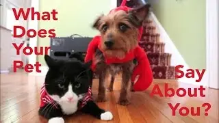 Cat People VS Dog Lovers: Your Pets Say A Lot About Your Personality
