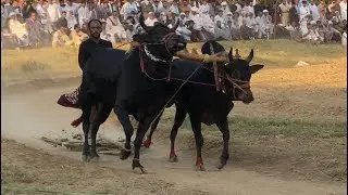 Dand mitha dhola 2nd position mela bandoor 2025 ch raziq chakswari time 4:31