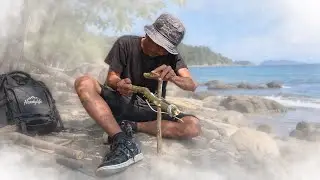 SOLO SURVIVAL 20 PULAU (9/20) | Bertahan Hidup di Pulau Tanpa Makan & Minum | Bikin Shelter