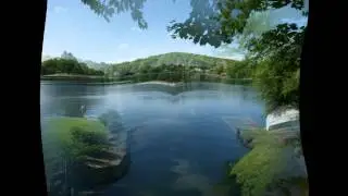 The 