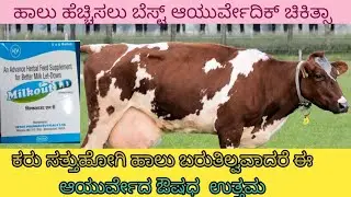 increase milk production.100% milk in calf death and cow abrasion by using milk out LD tablets