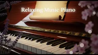 Relaxing Piano Music for Gentle Relax 🌙 Soft Piano Melodies for Stress Relief