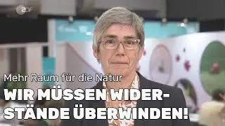Renaturierung: 