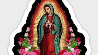 “Buenos Dias Paloma Blanca”-Estudiantina Luz Divina