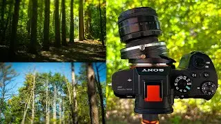 Helios 44-2 Tilt-Shift Photography