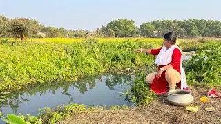 Fish Hunting || Using this method you can easily catch fish from the canal || Best hook fishing