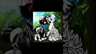 Warrior cats designs of my au