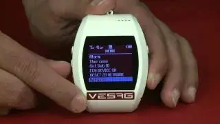 VESAG WATCH OPERATIONS
