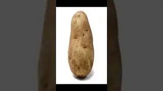 best one yet #awesome #edit #funny #potato