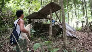 CEO returns to clean up old garden after 10 years working away from home and cooking