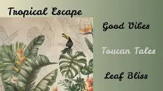 Wallpaper are the best solution of your Wall with our best Collection- Marble, Wood Effect, Tropical