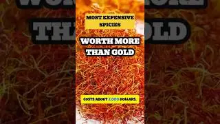 Saffron: The Spice Worth More Than Gold! | Unbelievable Facts #shorts