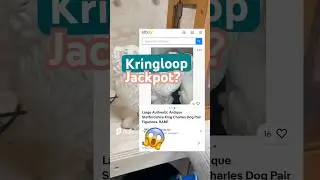 Wow!!! Check dit! De Kringloop zit vol met verrassingen! #schatzoeken #kringloopgeluk #vondst