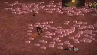 【DST】Picking up logs with lazy forager + action Queue is so fast! (1369 in 10 min)