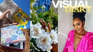 Visual Diary