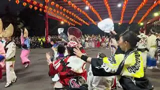 日本東京高圓寺阿波舞-新竹代天府表演