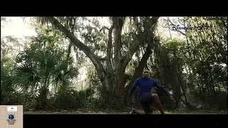 Falcon (Sam Wilson) Workout Training For C.A.P Shield In Falcon & The Winter Soldier --- Ep-5