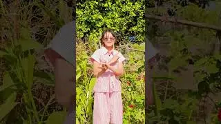ဒီမြင်ကွင်းကိုစိတ်ချမ်းသာတယ်#greenscreenvideo