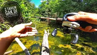 SPOT HUTAN BELANTARA BELITUNG SETELAH 2 TAHUN TAK DI CASTING || SNAKE HEAD FISH