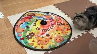 自動ネコじゃらし Automatic Cat Toy
