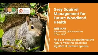 Grey Squirrel Management for Future Woodland Health | Northwoods x UKSA Webinar Recording