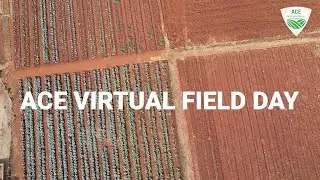 ACE Virtual Field Day - A Must Watch!