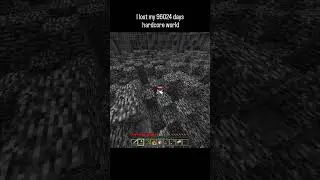 Minecraft I lost My 96024 days hardcore world