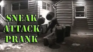 Exercise Ball Sneak Attack Spear Prank