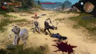 The Witcher 3 Death March difficulty. Geralt vs Ofieri Mage