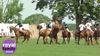 Royal Baby Countdown: Prince Harry falls off his horse playing polo!