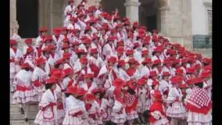 TROTINETES 2007