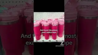 Stanley vs. Five Below Dupe ?!
