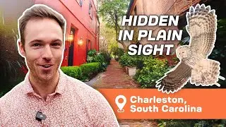 I Explored Charleston's Wildest Sights And Surprises | Amazing Itineraries
