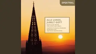 Toccata serena