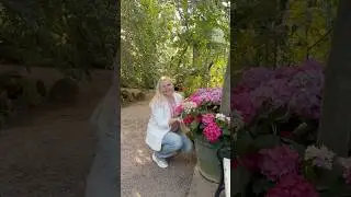 🌸🌸🌸 Beautiful garden 🌸🌸🌸 #flowers #garden #wien #travel #austria #beautiful #positivevibes