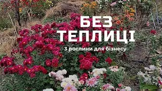 3 рослини, які реально продавати онлайн