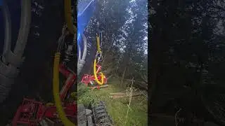 Lilla Blå första gallring film från kran bom