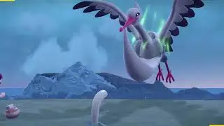 Wiglett Run - Titan Bombirdier