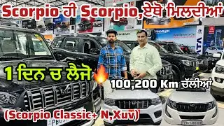 Scorpio ਹੀ Scorpio,ਏਥੋ ਮਿਲਦੀਆਂ🔥| 7 seater SUV Cars | Bhandari Car Bazar @Sandeepmotors77