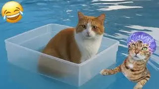 Funniest Dogs and Cats Video 2026😼🐶Try Not To Laugh