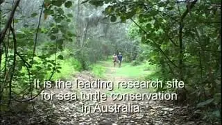 One in a thousand   Sea turtle biology