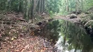 Just Chillin,unwinding in nature 