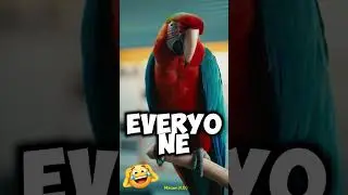 Funny Parrot Roasts Police Officer&rsquo;s Ringtone 🐔👮&zwj;♂️
